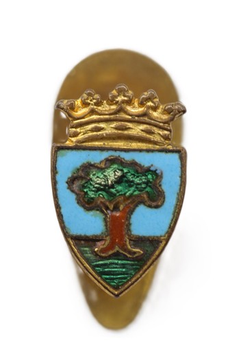 Distintivo spilla comune - distintivo,